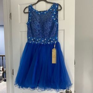Brand New Blue Party Dress